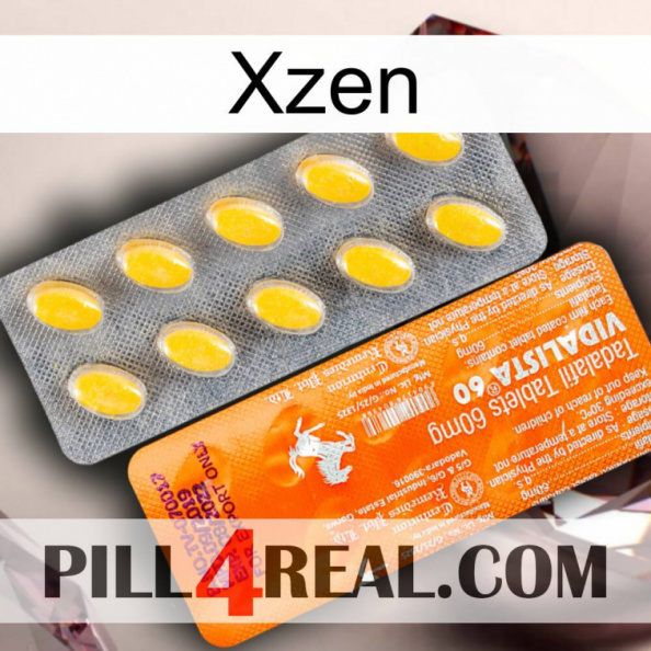 Xzen new05.jpg